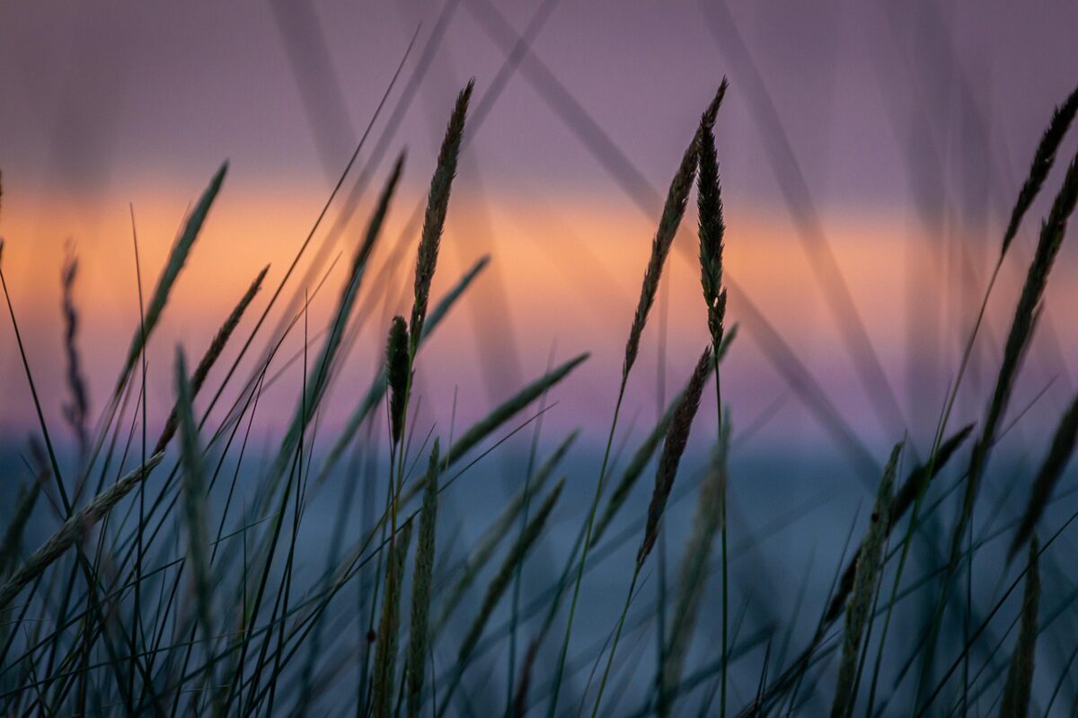 evening-atmosphere-4315445_1280.jpg