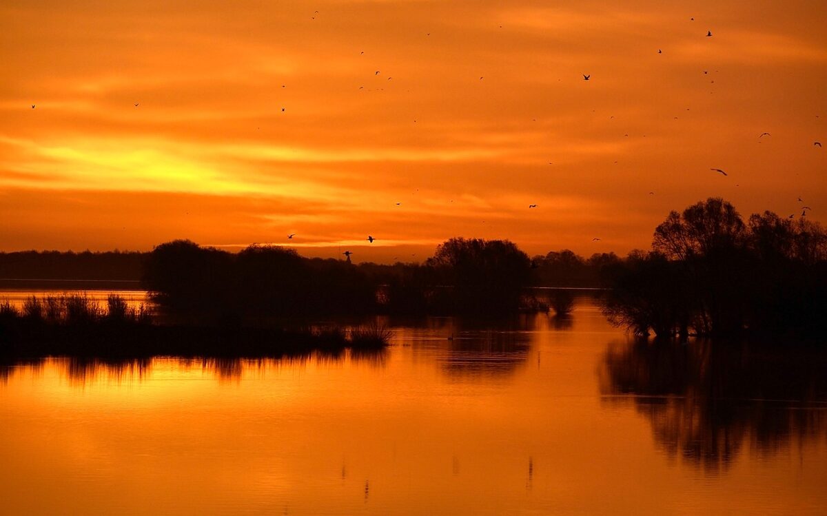 lake-8673730_1280.jpg
