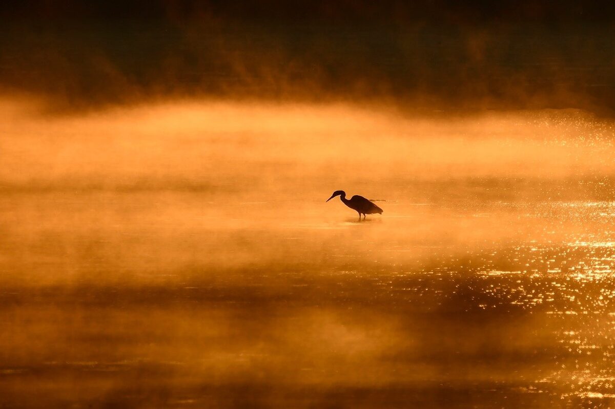 sunrise-9750192_1280.jpg